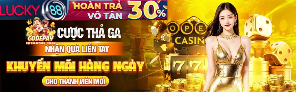 Tổng quan chính sách cookie và cam kết bảo mật của 88b link mới